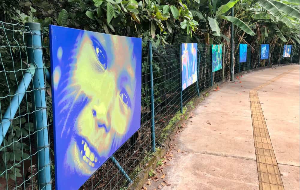 Exposição de arte no Bosque dos Buritis