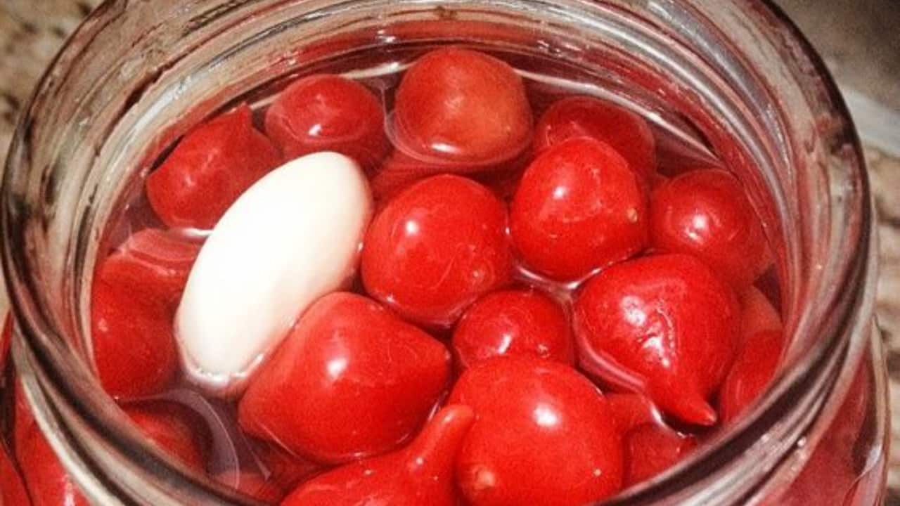 pimenta bode