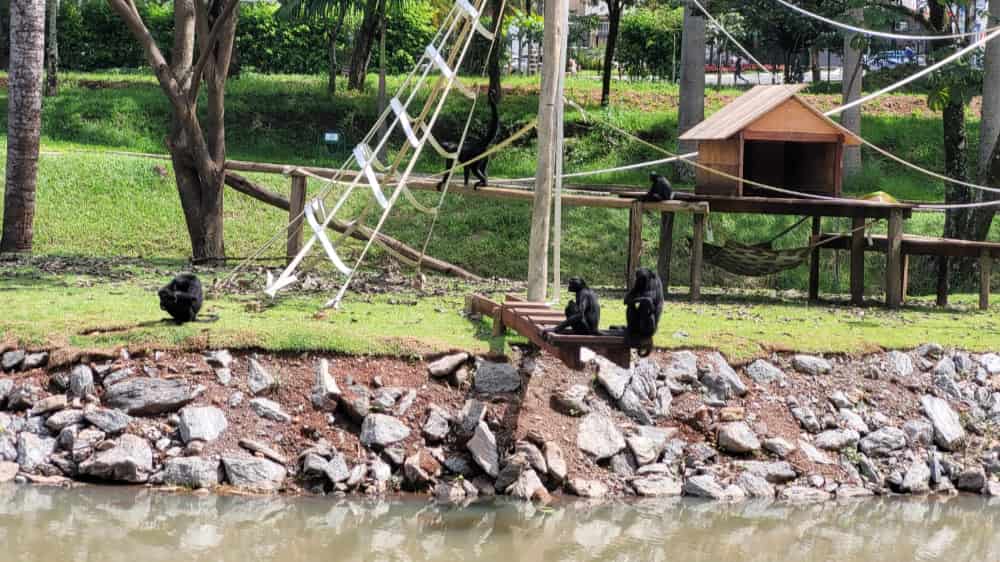 Zoológico de Goiânia.