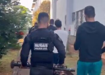 Operação Peixe Falso