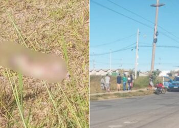Recém-nascido é encontrado morto em lote baldio de Senador Canedo
