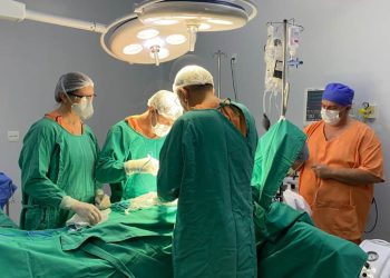 Mulher morre após ser picada por cobra e família autoriza doação de órgãos