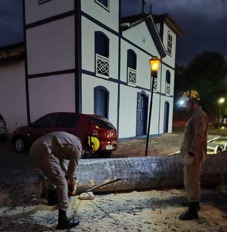 Queda de árvore em Pirenópolis