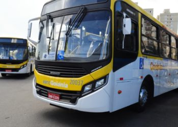 Transporte coletivo em Goiânia passa por mudanças em 8 linhas; outras 3 são criadas
