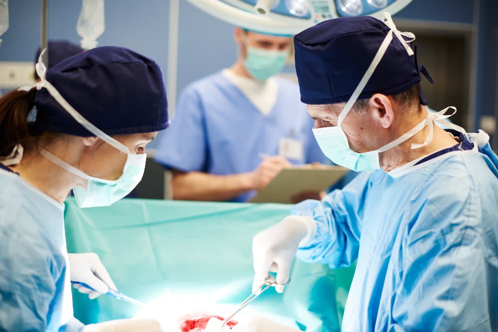 transplante de órgãos