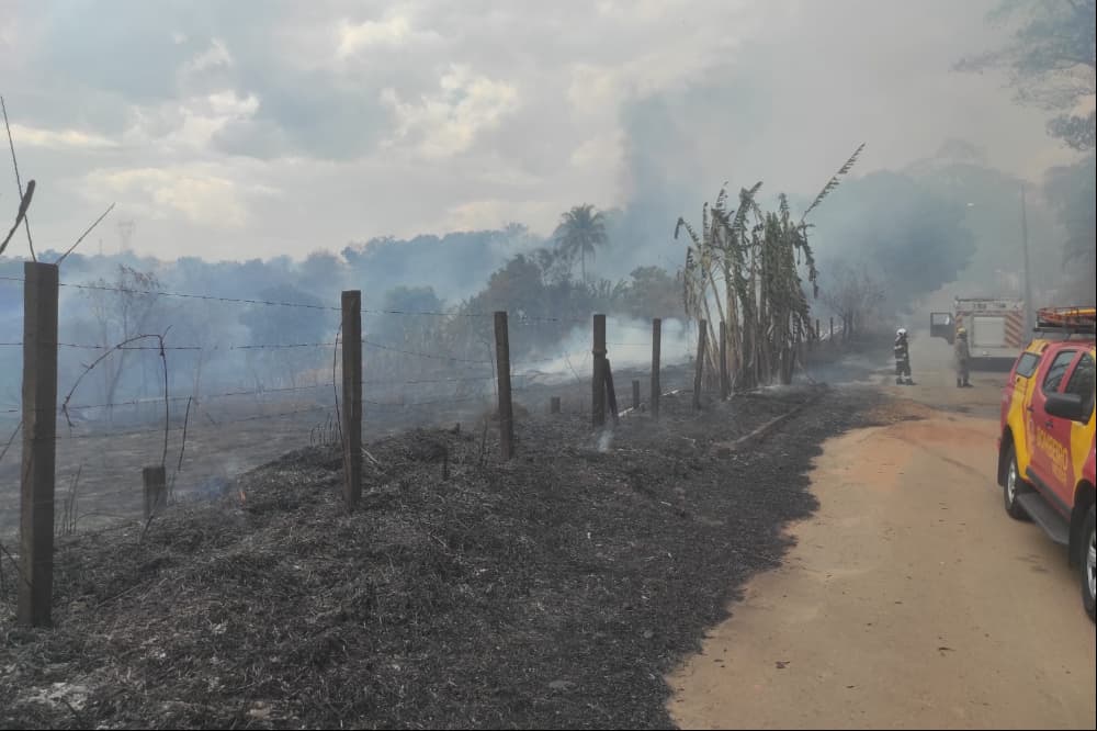 Incêndio em vegetação