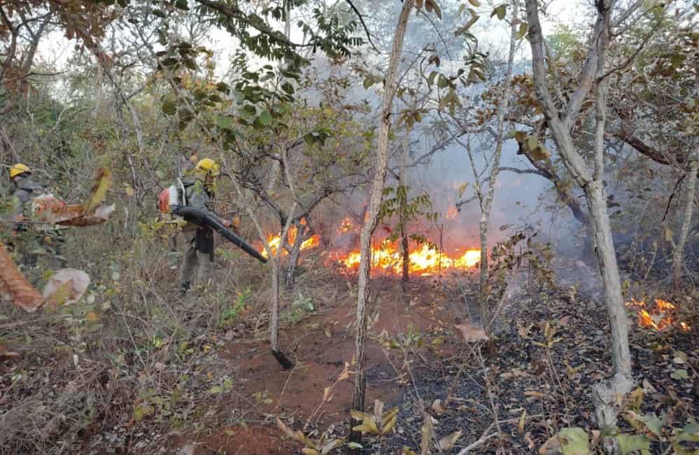 Incêndio florestal