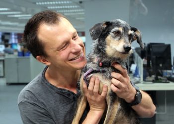 Morre Estopinha, 1ª influencer pet do Brasil: “dor imensa”, lamenta tutor
