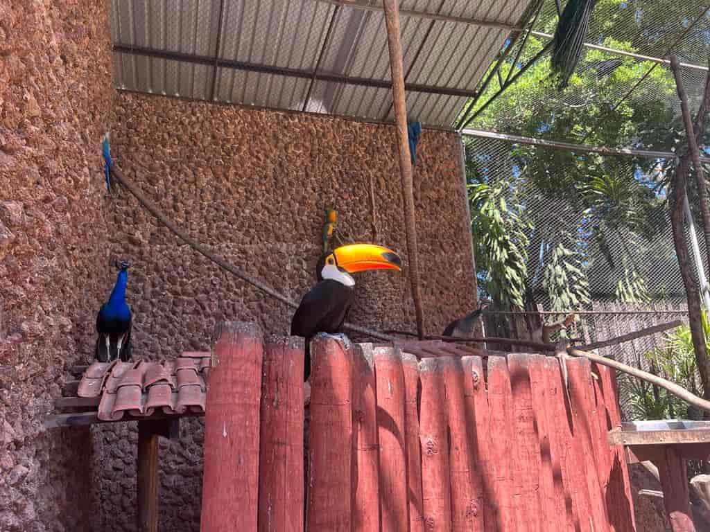 Zoológico