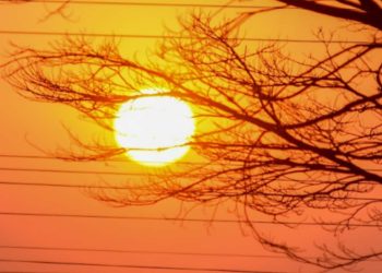 Goiás pode ter nova onda de calor com temperaturas acima de 40°C; diz Cimehgo