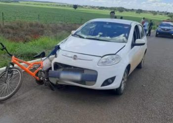 Motorista mata ciclista atropelado após tentar tirar marimbondo de dentro do carro