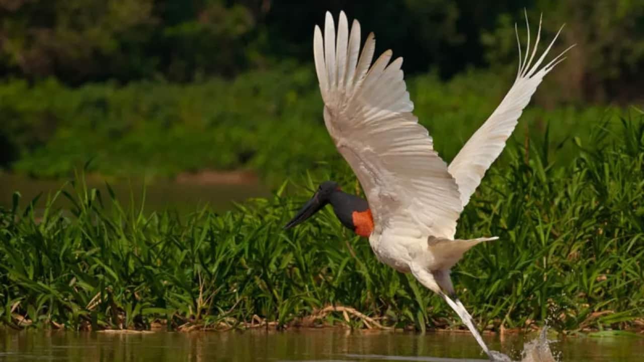 Encantos do Tocantins: Em seis destinos para reposição de energias
