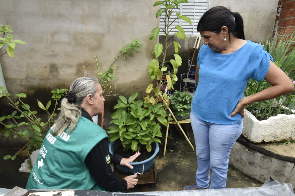 dengue em Goiás