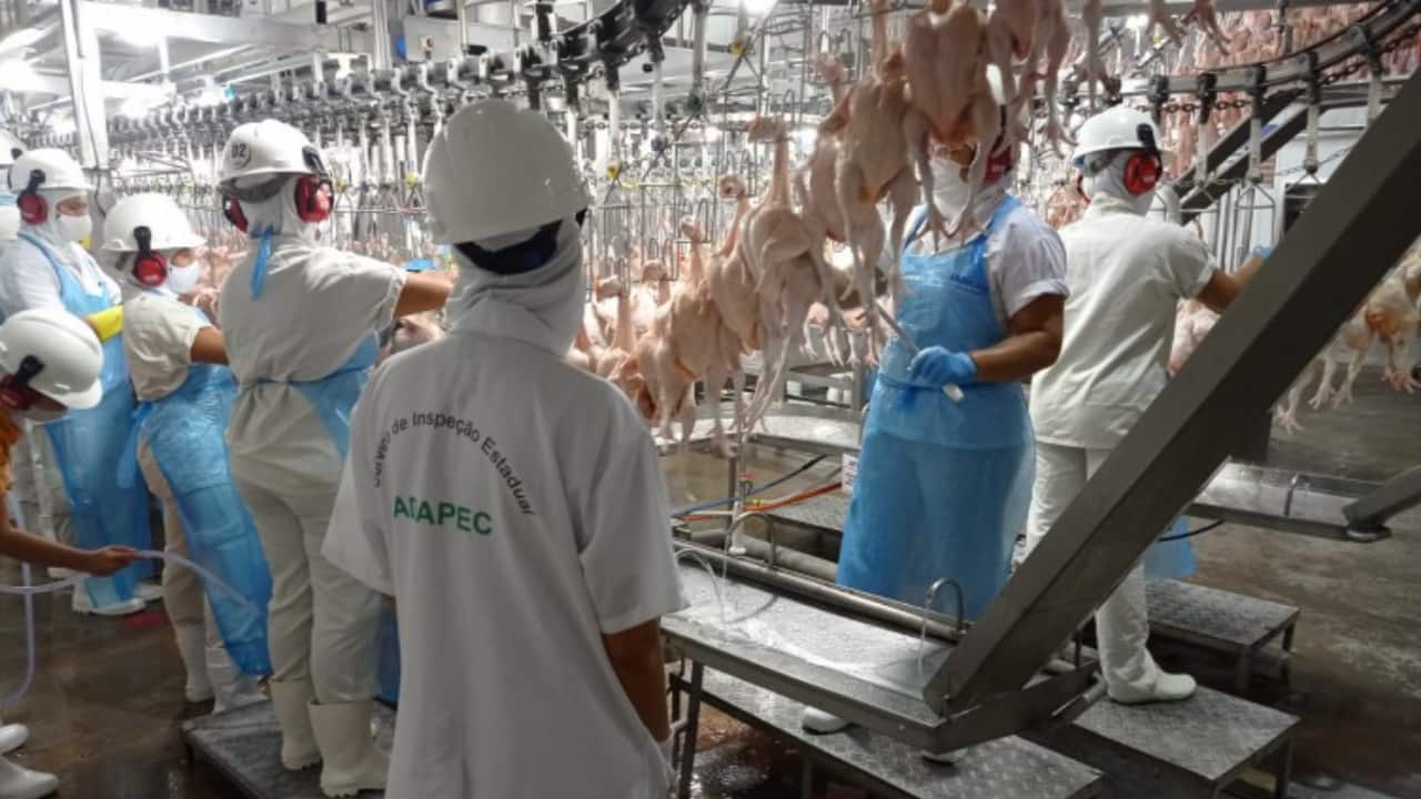 Perspectivas: 6 em cada 10 indústrias tocantinenses planejam investir em 2024