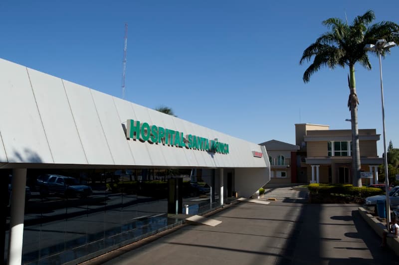 Cachorro baleado em hospital