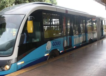 Romaria 2024: Linha de ônibus funcionará 24h para atender fiéis na festa de Trindade