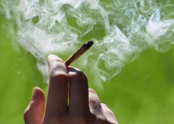STF forma maioria para descriminalizar porte de maconha para uso pessoal