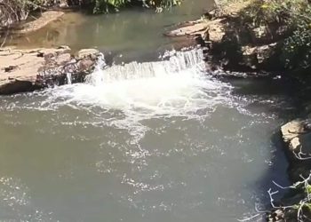 Tudo sobre o caso da menina que morreu afogada no dia do aniversário, em Goiás