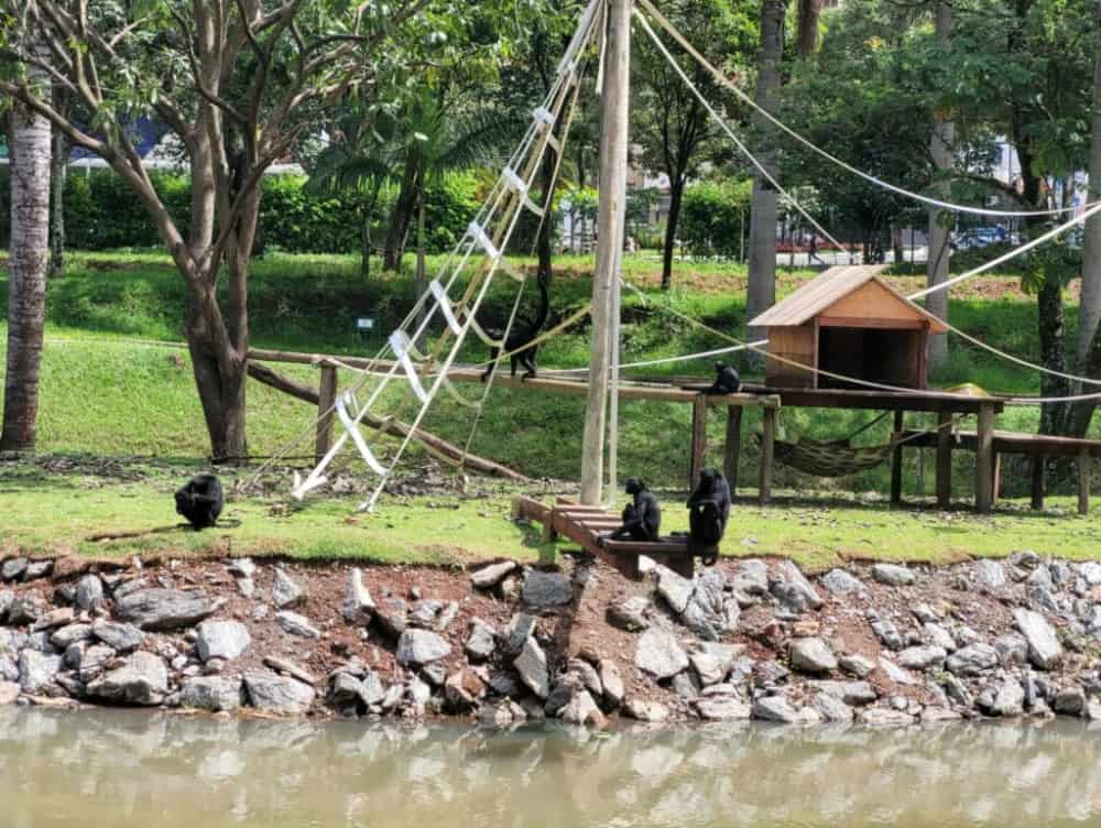 Parque Zoológico