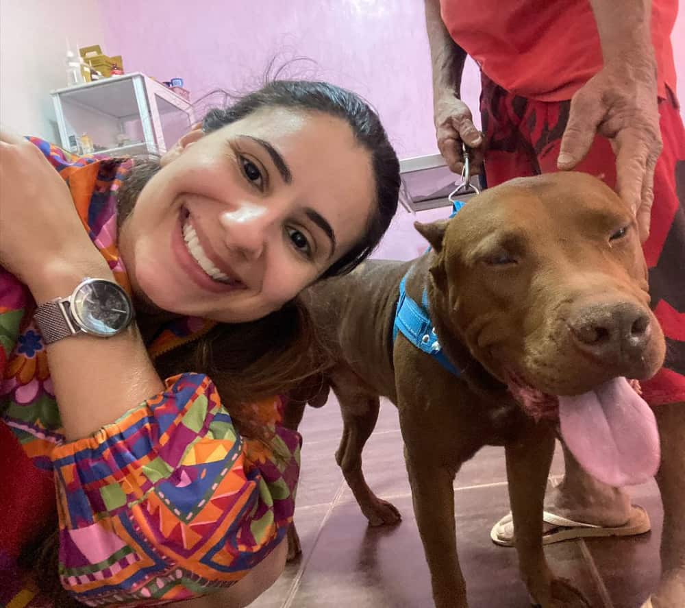cachorro agredido é resgatado