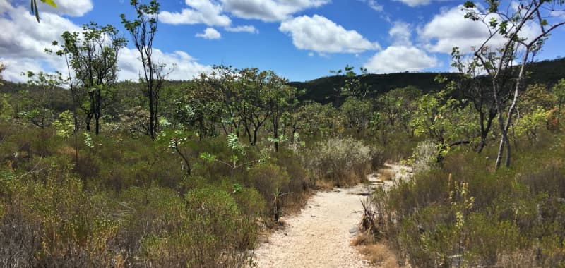 Chapada dos veadeiros