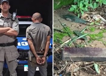 Filho encontra pai morto dentro de casa e vê criminoso saindo com televisão, em Goiânia