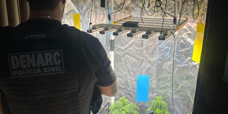 Polícia fecha laboratório que produzia e comercializava óleo e shampoo de maconha em Goiânia