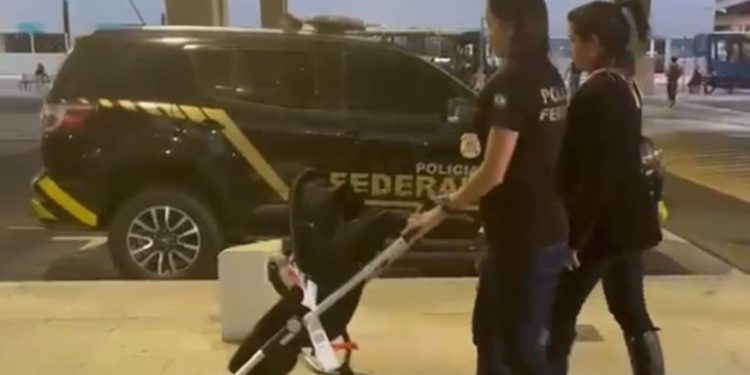 Bebê vítima de tráfico humano que estava em Portugal retorna ao Brasil