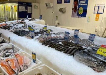 Variação de preços de pescados chega a 268%, aponta Procon Goiás