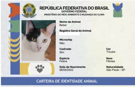 RG Animal