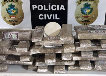 https://www.policiacivil.go.gov.br/delegacias/regionais/pcgo-desarticula-associacao-criminosa-e-apreende-droga-avaliada-em-meio-milhao-de-reais-em-anapolis/