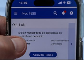 Aplicativo Meu INSS. Foto: Joédson Alves/ Agência Brasil