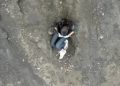 Resgate do corpo de brasileira morta em vulcão na Indonésia é finalizado; vídeo