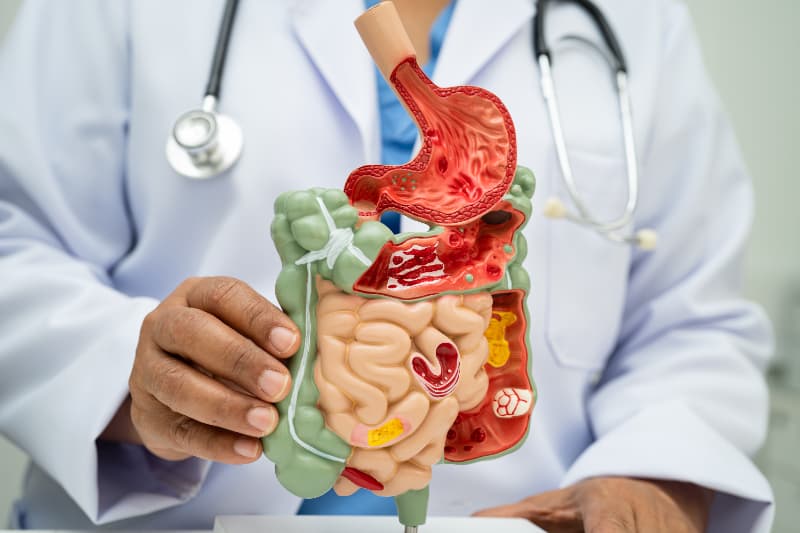 Gastroenterite 