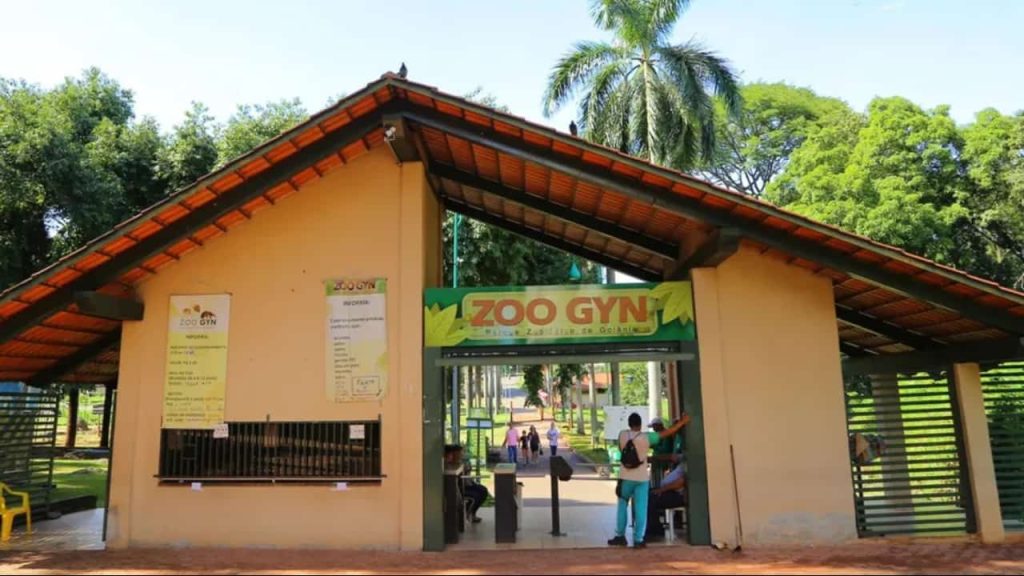 Zoológico de Goiânia reabre após teste negativo para gripe aviária