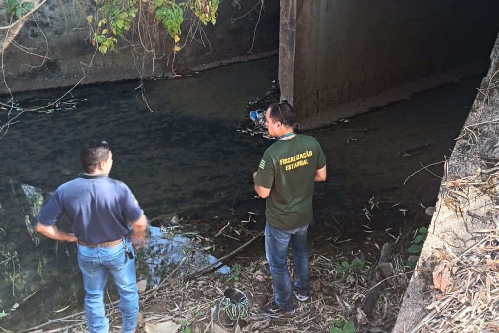 Polícia investiga crime ambiental após mortandade de peixes em córrego de Goiás