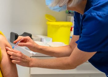 Febre Amarela: Goiás realiza semana de vacinação após confirmação da doença em primatas