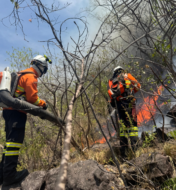 incêndios chapada dos veadeiros