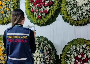 Preço de flores para o Dia de Finados registra variação de quase 590% em Goiânia