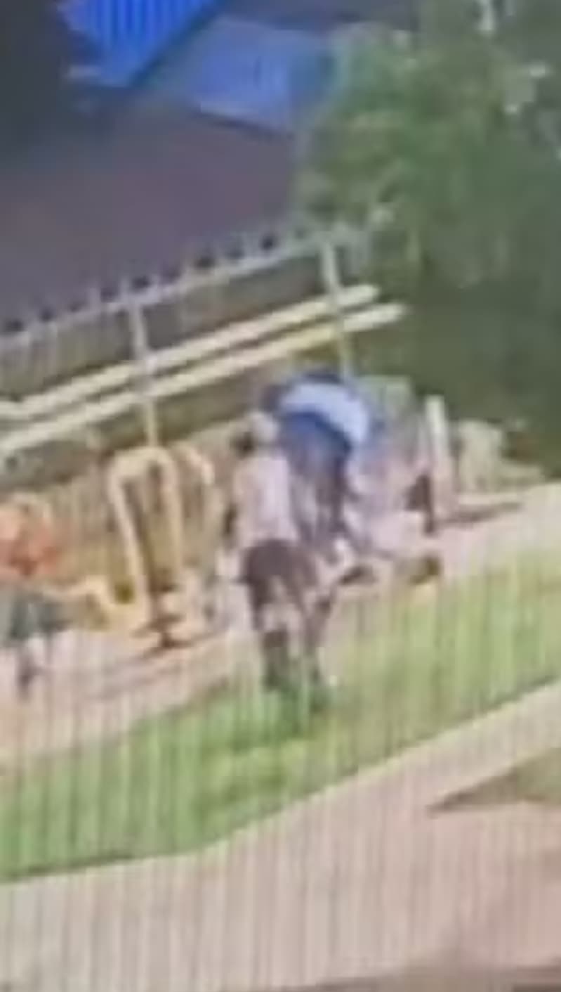 Morte após salto