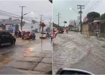 Chuva intensa causa alagamentos, queda de árvores e outros transtornos na Grande Goiânia