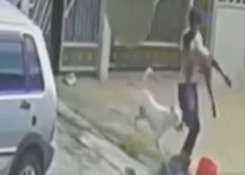Vídeo: criança de 2 anos é atacada por cachorro em Goiânia