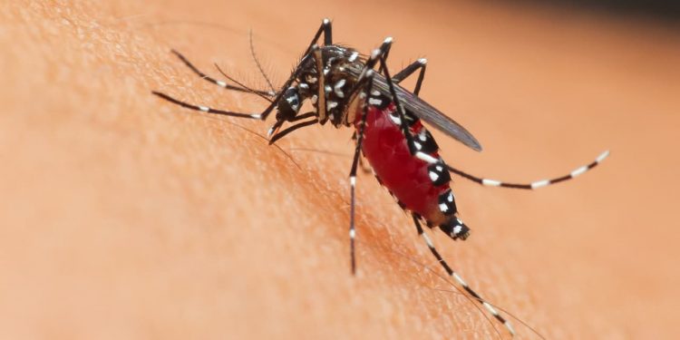 Três mortes suspeitas por chikungunya são investigadas em Caldas Novas