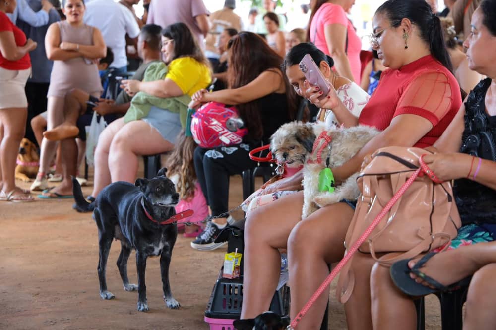 mutirão em Aparecida