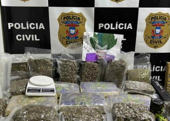 Operação em Goiás bloqueia quase R$ 2 milhões de investigados por golpes digitais