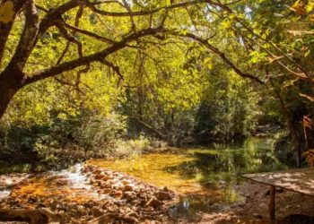 Cachoeira do Segredo, na Chapada dos Veadeiros, terá área exclusiva para nudismo