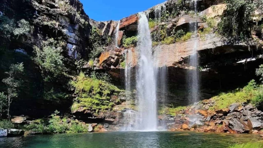 Menina de 8 anos é atacada por onça durante trilha na Chapada dos Veadeiros