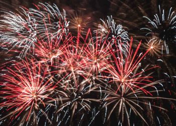 Câmara de Goiânia aprova projeto que proíbe fogos de artifício com estampido