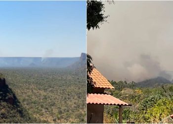 Incêndios atingem cerca de 8 mil hectares na região de Terra Ronca, em Goiás