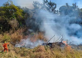 incêndios em Goiás
